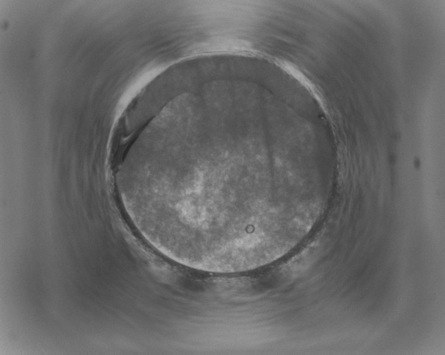 X0000067851469200605111656