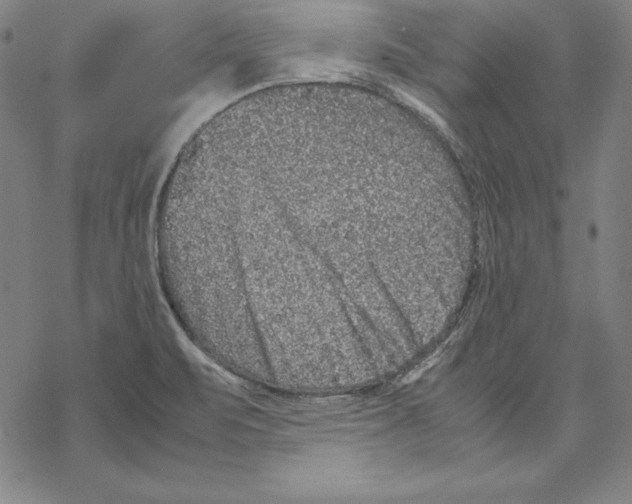 X0000067851471200605111655