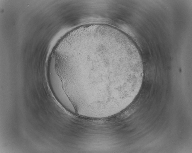 X0000067851472200605111655