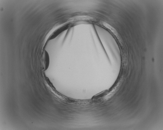 X0000067851473200605111655