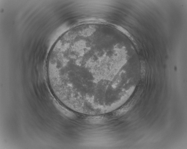 X0000067851474200605111655