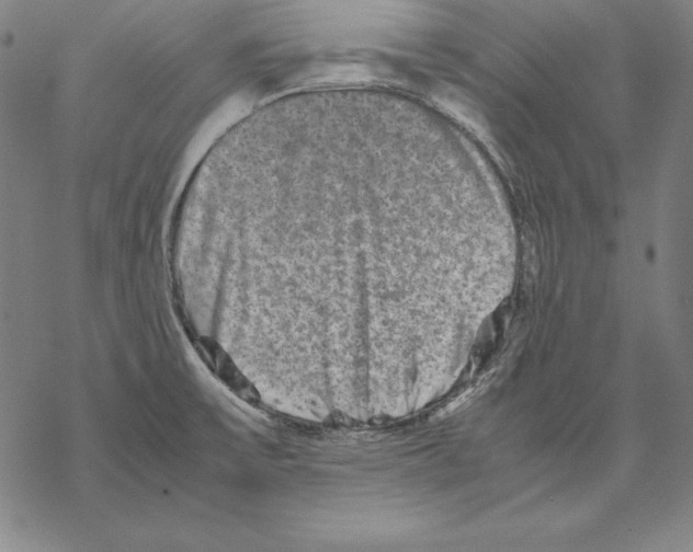 X0000067851475200605111655