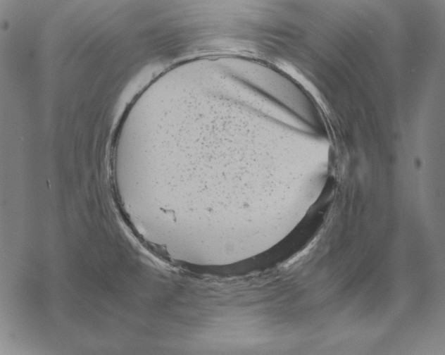 X0000067851477200605111655