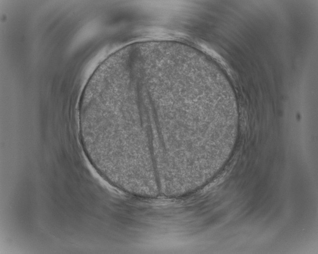 X0000067851479200605111655