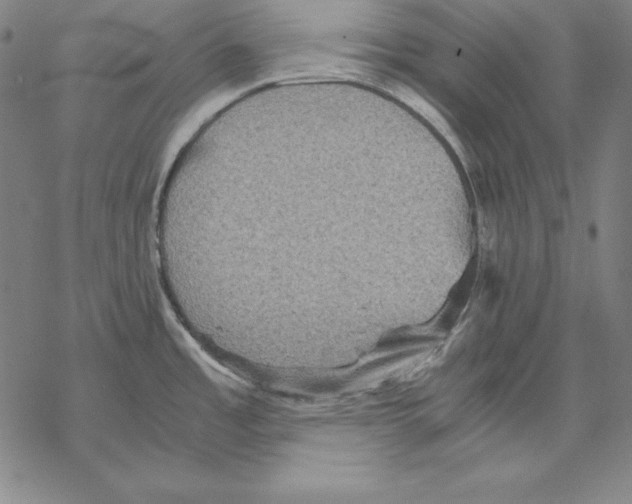 X0000067851485200605111655