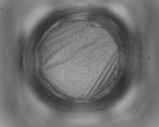 X0000067851487200605111655