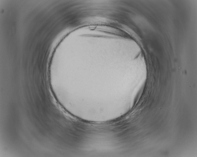 X0000067851488200605111655