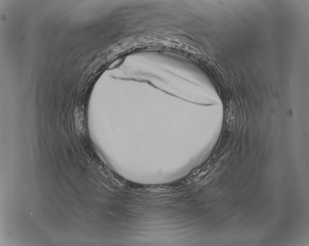 X0000067851490200605111654