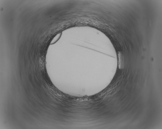 X0000067851491200605111654