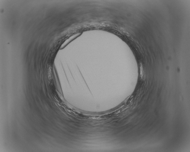 X0000067851492200605111654