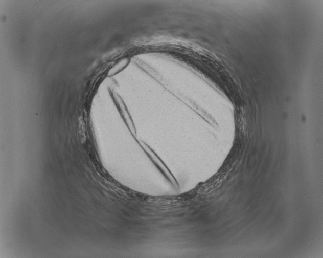 X0000067851493200605111655