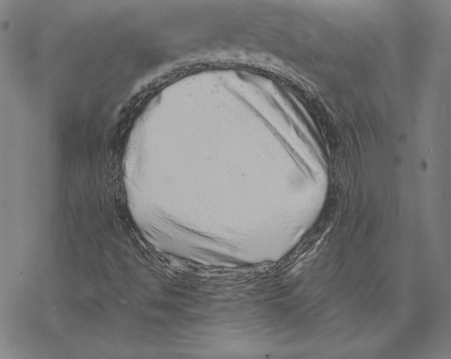 X0000067851494200605111655