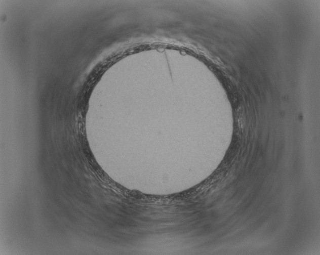 X0000067851495200605111655