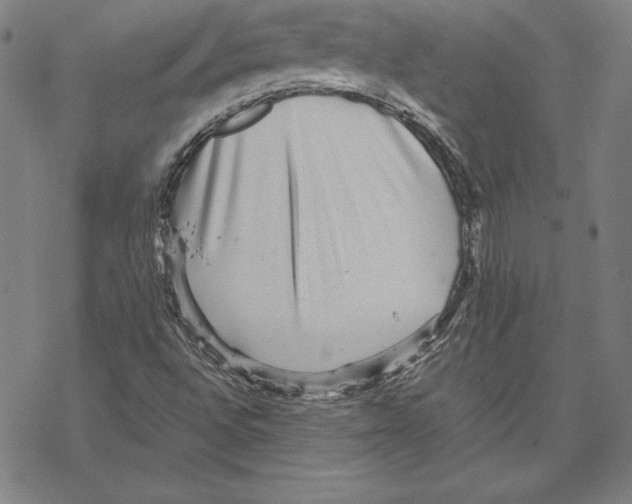 X0000067851496200605111655