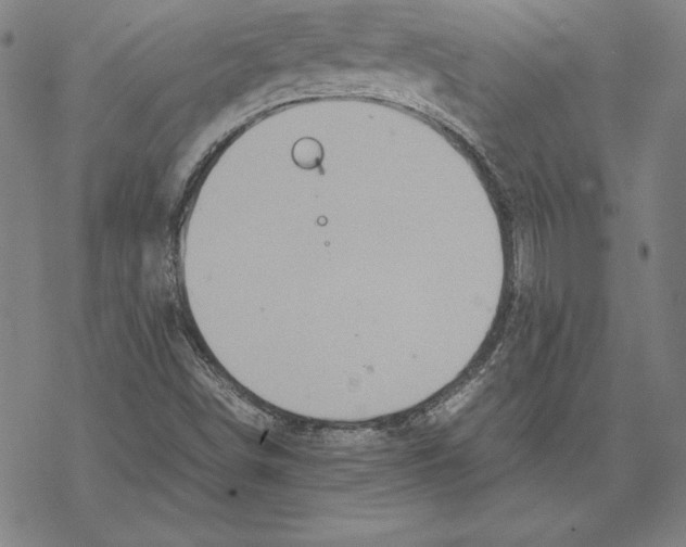 X0000067851498200605111655