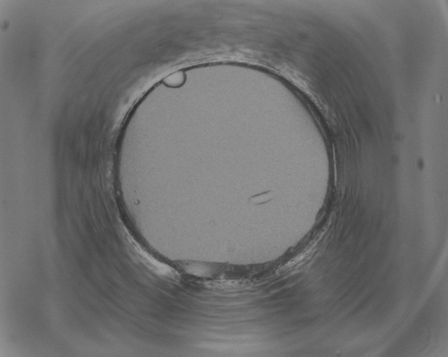 X0000067851500200605111655