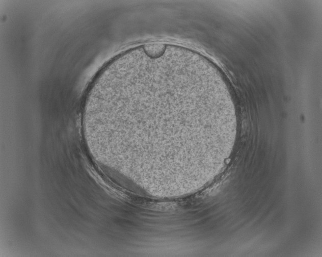 X0000067851503200605111655