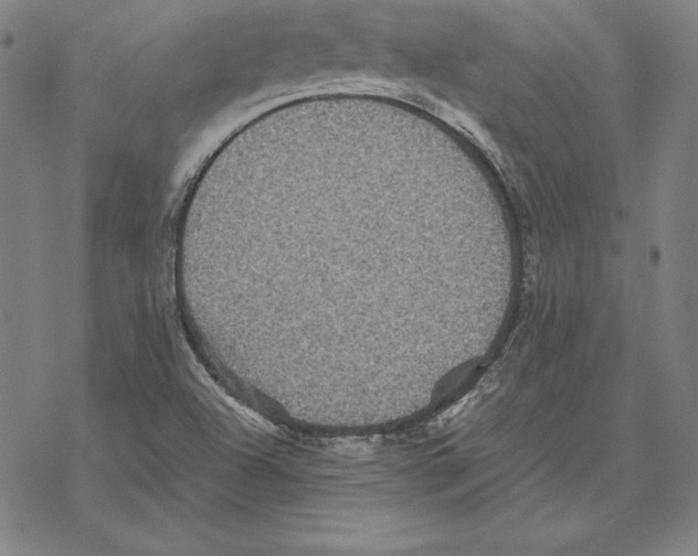 X0000067851504200605111655