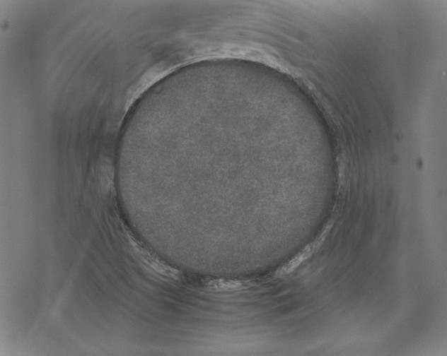 X0000067851505200605111655