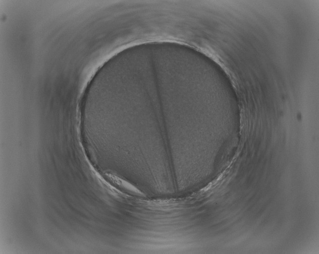 X0000067851508200605111655