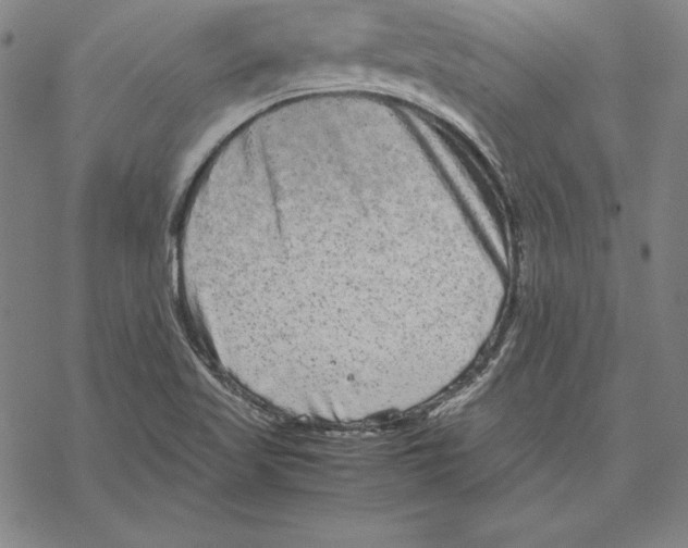 X0000067851509200605111655