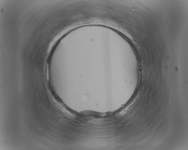 X0000067851510200605111655