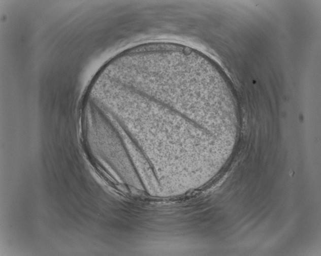 X0000067851511200605111655