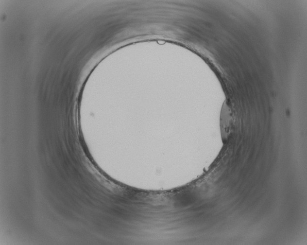 X0000067851516200605111655