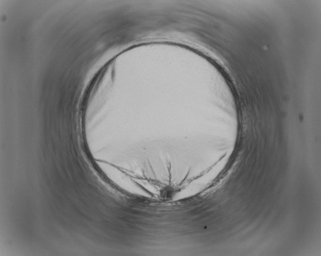 X0000067851517200605111655