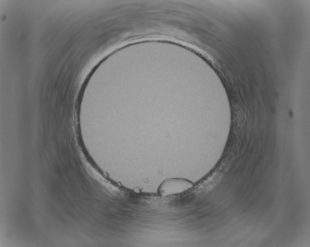 X0000067851518200605111655