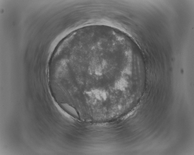 X0000067851519200605111655