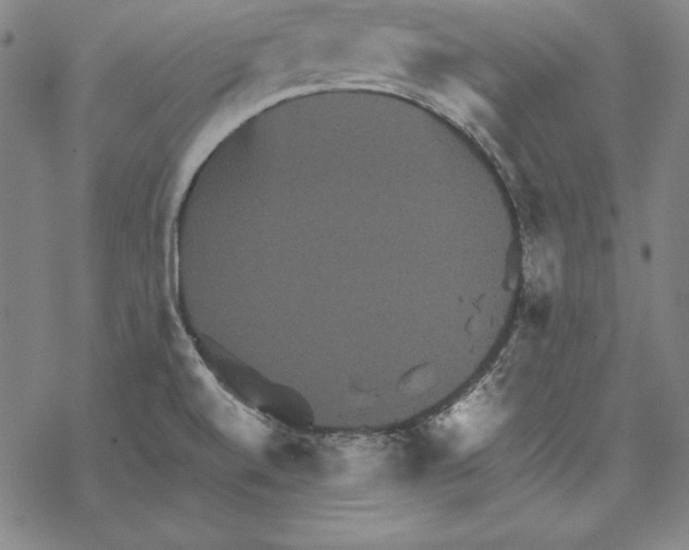 X0000067851520200605111655