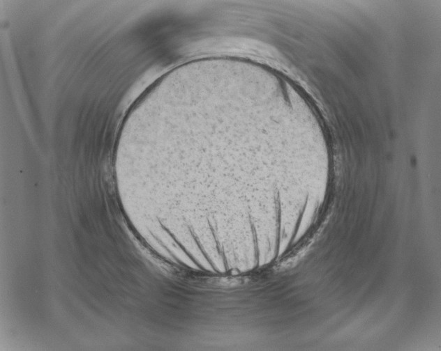 X0000067851521200605111655