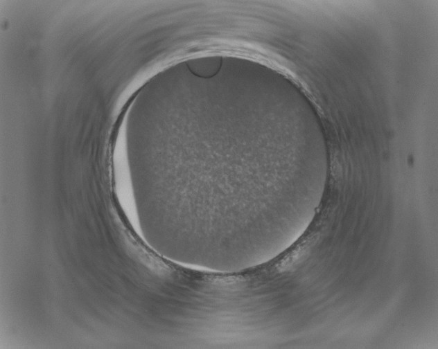 X0000067851522200605111655