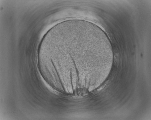 X0000067851523200605111655