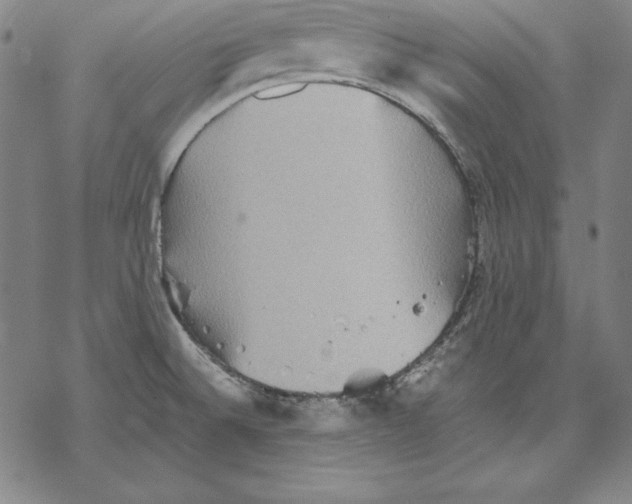 X0000067851524200605111655