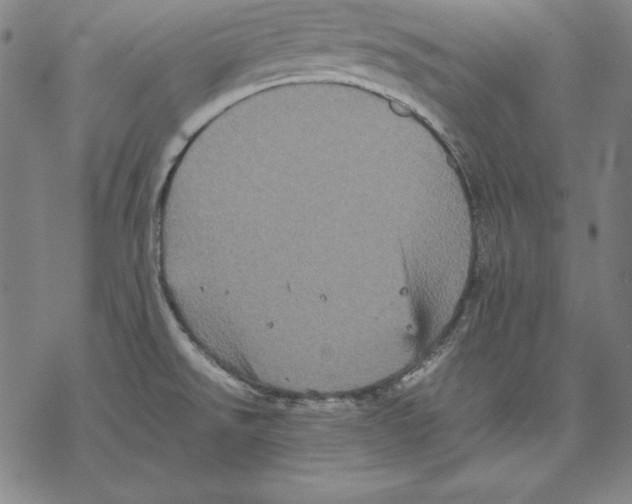 X0000067851526200605111655