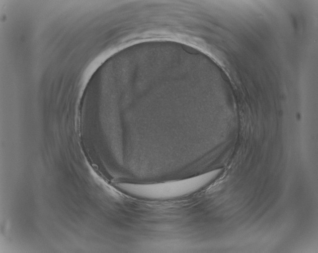 X0000067851527200605111655