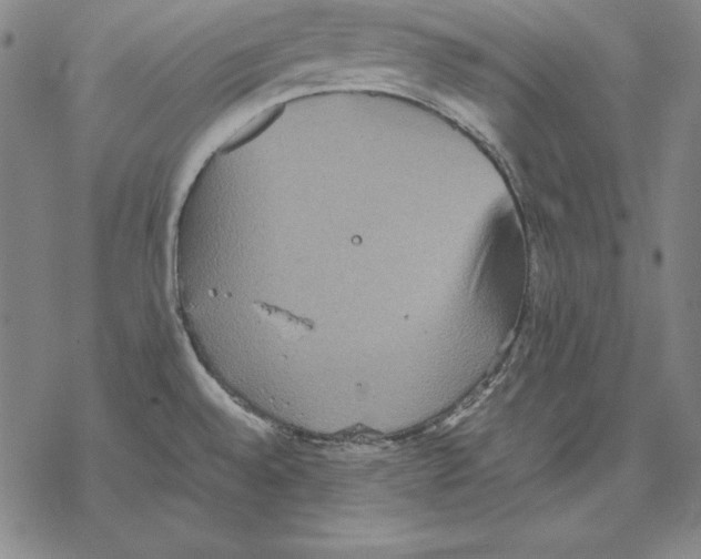 X0000067851528200605111655