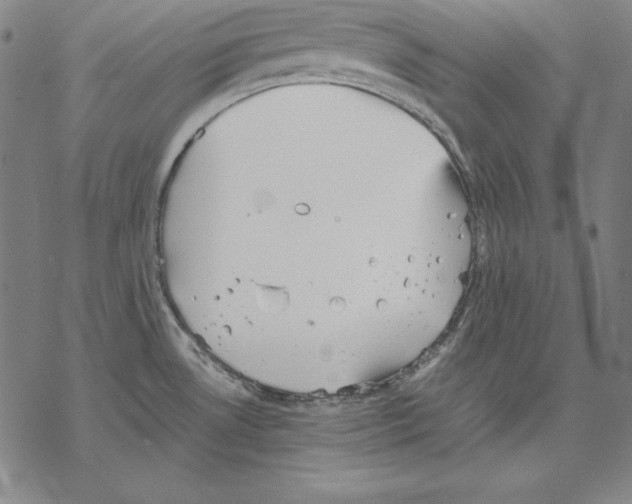 X0000067851530200605111655