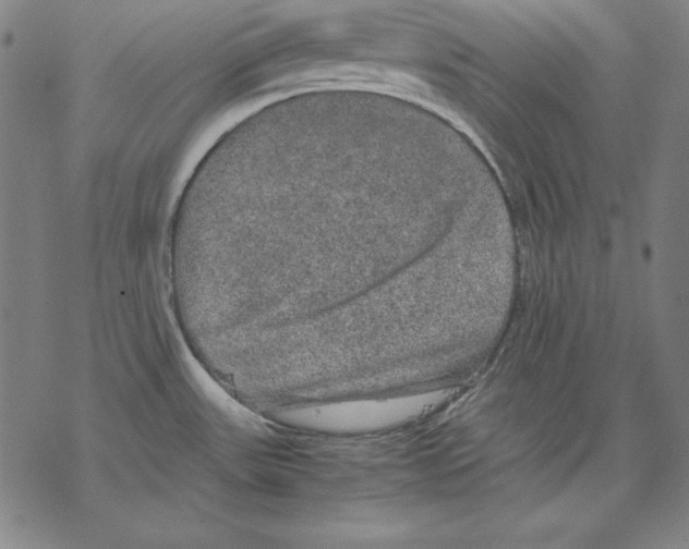 X0000067851531200605111655