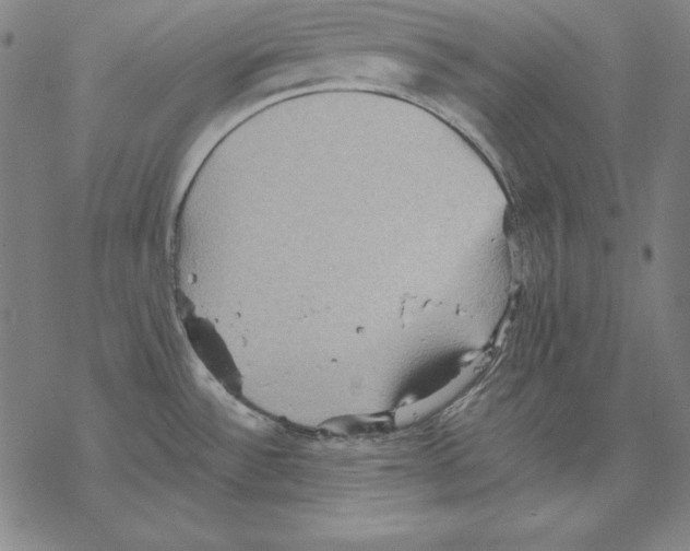 X0000067851532200605111655