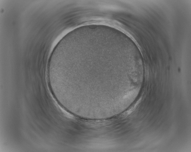 X0000067851533200605111655