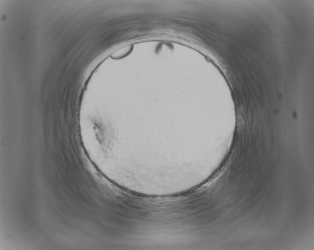 X0000067851534200605111655