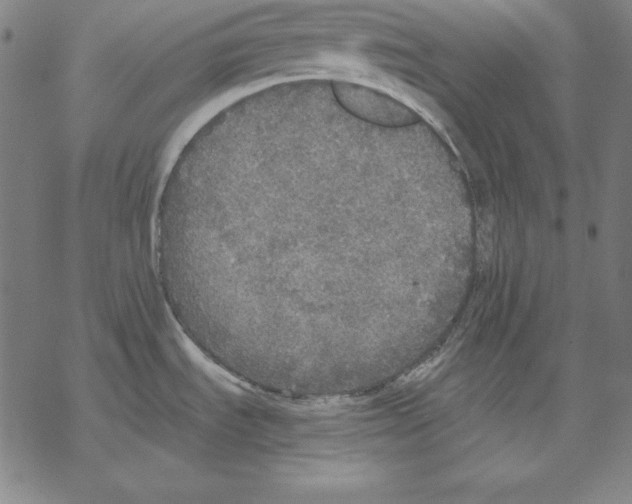 X0000067851535200605111655