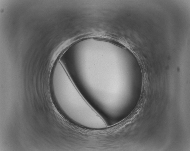 X0000067860007200604130956