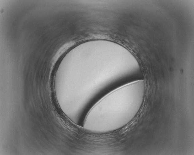 X0000067860104200604130954