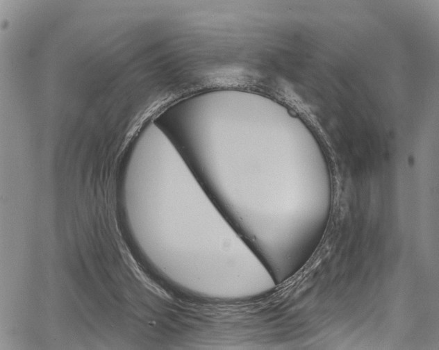 X0000067860106200604130954