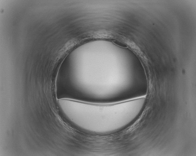 X0000067860201200604130953