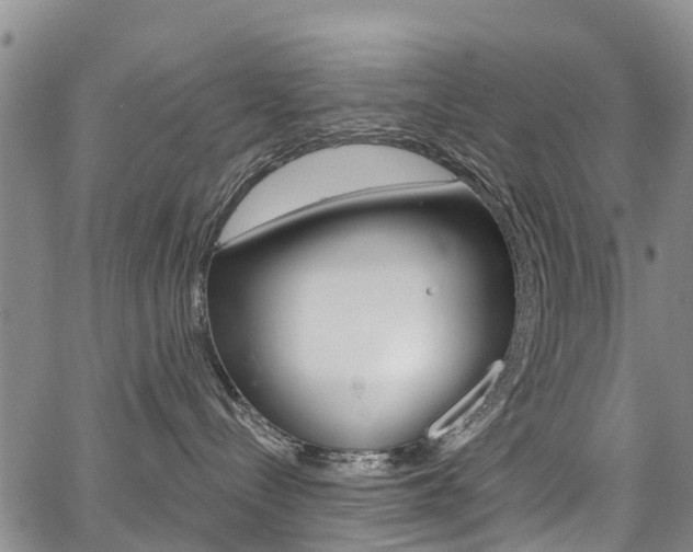 X0000067860288200604130952